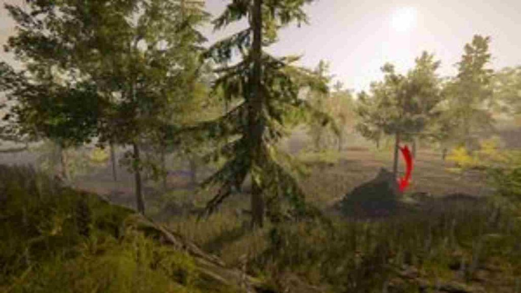 The forest cave locations: Get All Cave Locations in the Forest 4 The forest cave locations