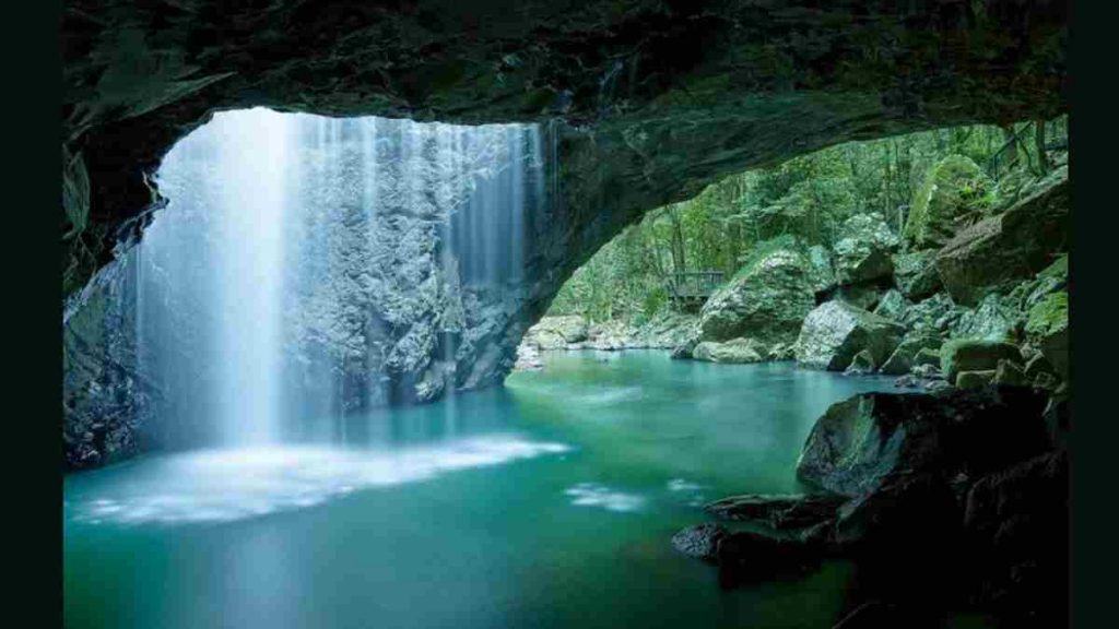The forest cave locations: Get All Cave Locations in the Forest 7 The forest cave locations