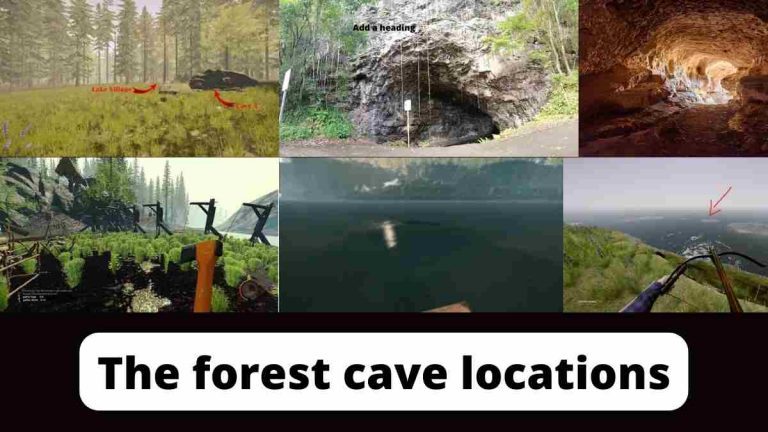 The forest cave locations