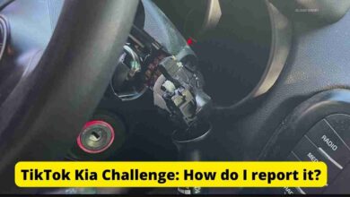 TikTok Kia Challenge
