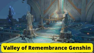 Valley of Remembrance Genshin: Domain Guide 5 Valley of Remembrance Genshin