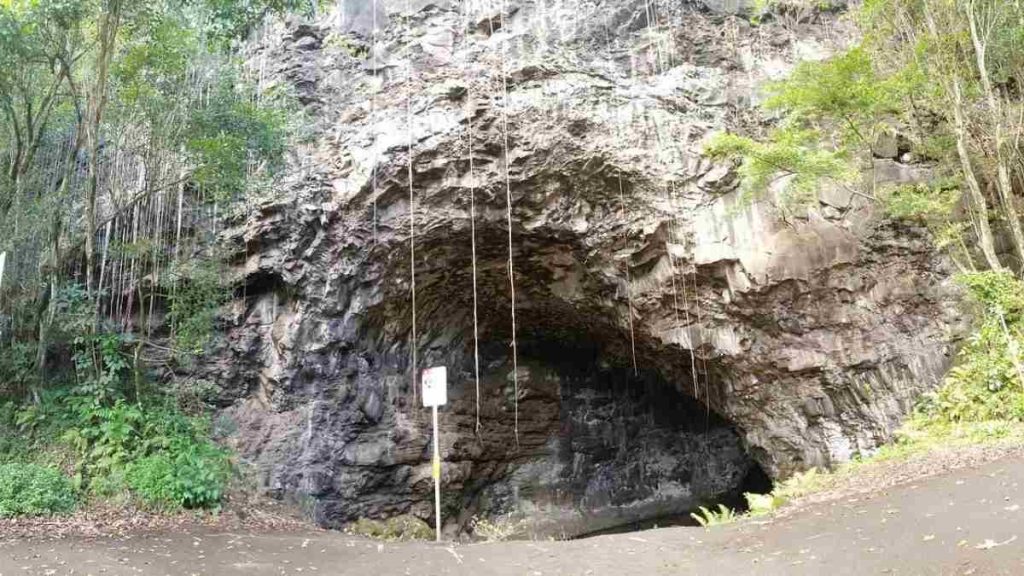 The forest cave locations: Get All Cave Locations in the Forest 14 The forest cave locations: Get All Cave Locations in the Forest