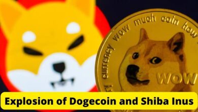 Get Ready for the Explosion of Dogecoin and Shiba Inus 4 Explosion of Dogecoin and Shiba Inus