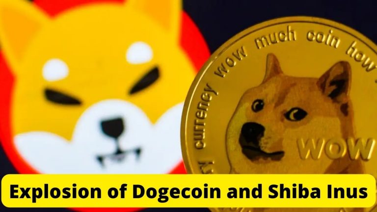 Explosion of Dogecoin and Shiba Inus