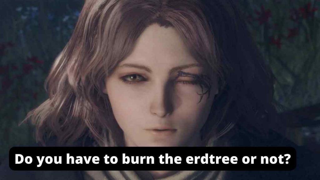 Do you have to burn the erdtree or not?
