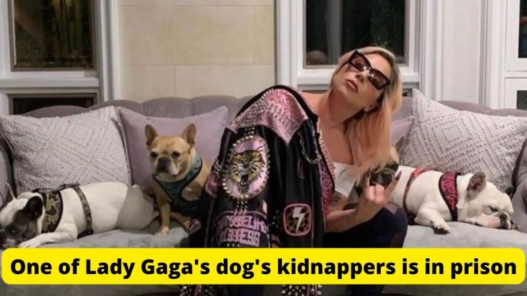 One of Lady Gaga's dog's kidnappers is in prison