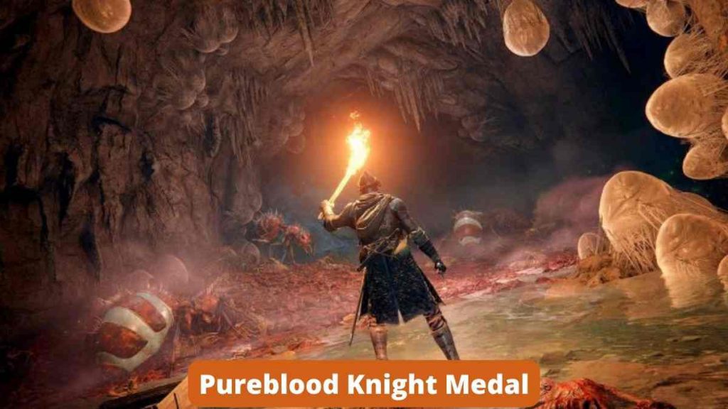 Pureblood Knight Medal