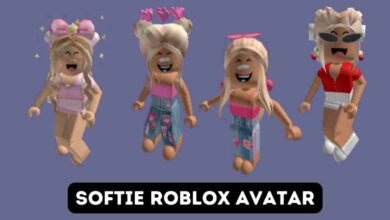 Softie Roblox Avatar Ideas