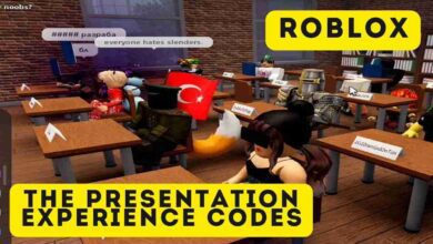 The Presentation Experience Codes