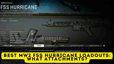 Best MW2 FSS Hurricane Loadouts