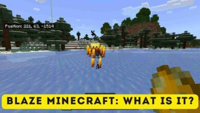 Blaze Minecraft