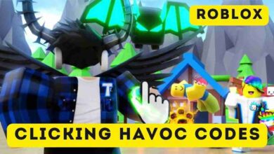 Clicking Havoc Codes