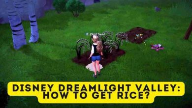 Disney Dreamlight Valley