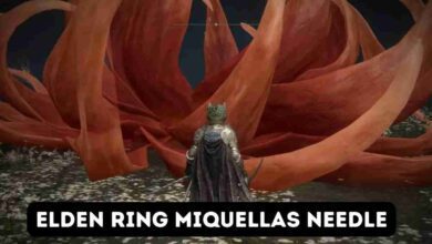 Miquellas needle