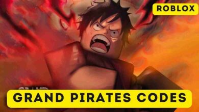 Grand Pirates Codes