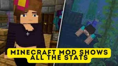 Minecraft Mod