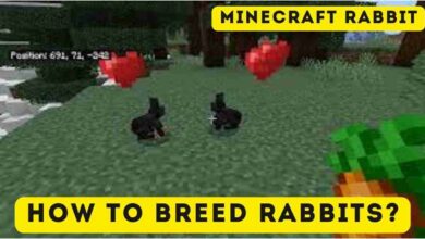 Minecraft Rabbit: How to Breed Rabbits? 1 Minecraft Rabbit