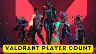 Valorant Player Count August 2024, Monthly Player Count 4 Valorant Player Count
