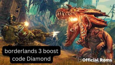 borderlands 3 boost code 2023