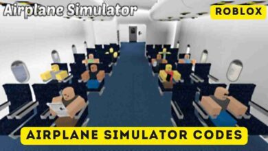Airplane Simulator Codes