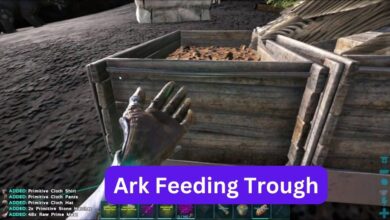 Ark Feeding Trough: Range, Usage, Construction and More 2 Ark Feeding Trough