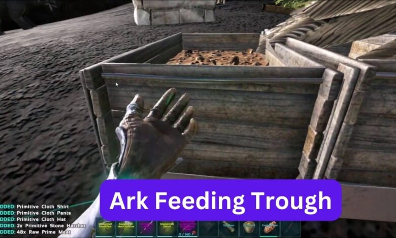 Ark Feeding Trough