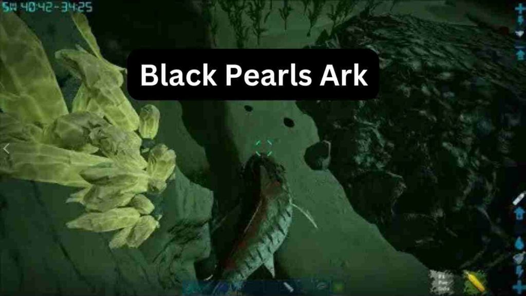 Black Pearls Ark