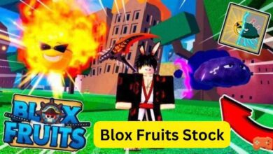 Blox Fruits Stock