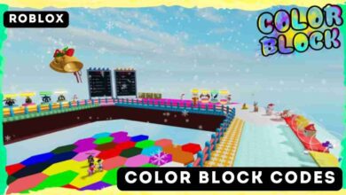 Color Block Codes