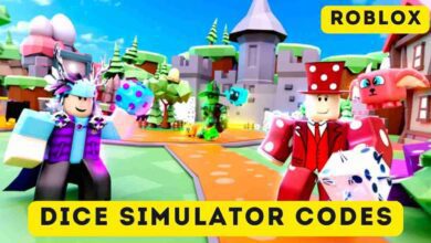 Dice Simulator Codes