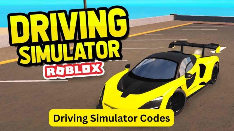 Driving Simulator Codes