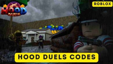Hood Duels Codes: Latest Codes (July 2025) 5 Hood Duels Codes