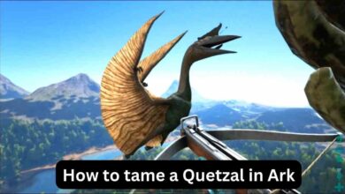 How to tame a Quetzal in Ark: Solo and Duo 2 How to tame a Quetzal in Ark