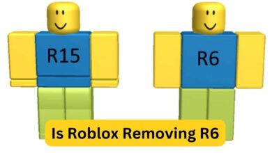 Roblox R6