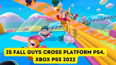 Is fall guys cross platform PS4, Xbox PS5 2024 3 Is fall guys cross platform 2023
