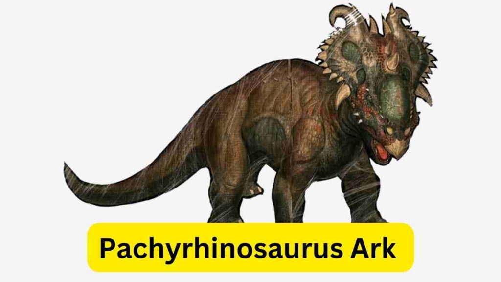 Pachyrhinosaurus Ark