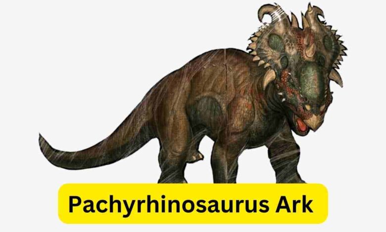 Pachyrhinosaurus Ark