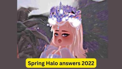 Spring Halo answers 2022