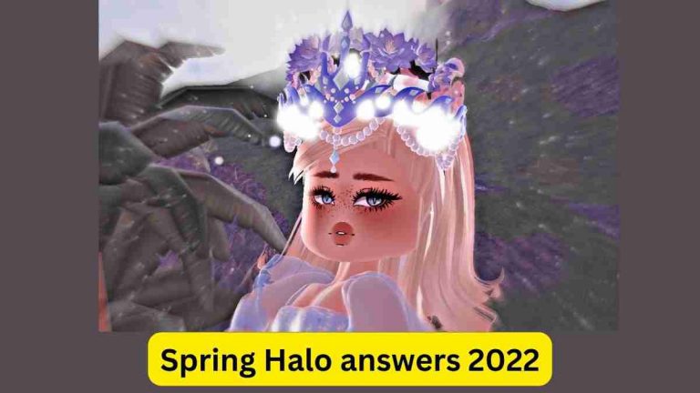 Spring Halo answers 2022