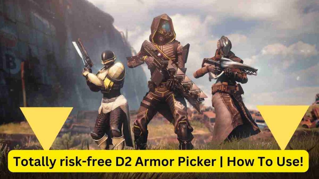 Totally risk-free D2 Armor Picker | How To Use!