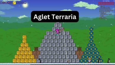 Aglet Terraria