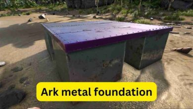 Ark metal foundation: Construction, Remarks and More 3 Ark metal foundation