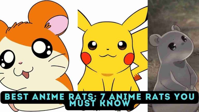 Best Anime Rats