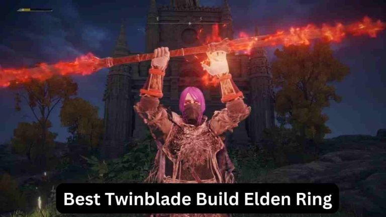 Best Twinblade Build Elden Ring