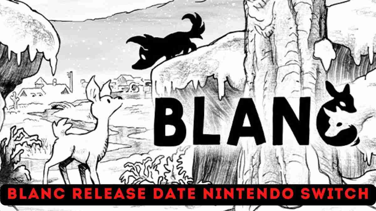 Blanc Release Date Nintendo Switch