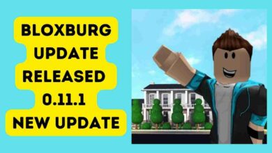 Bloxburg Update Released 0.11.1 (2024) 4 Bloxburg Update Released 0.11.1 November Month