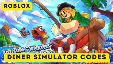 Diner Simulator Codes