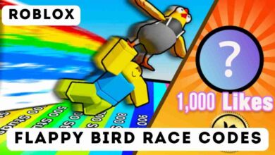 Flappy Bird Race Codes