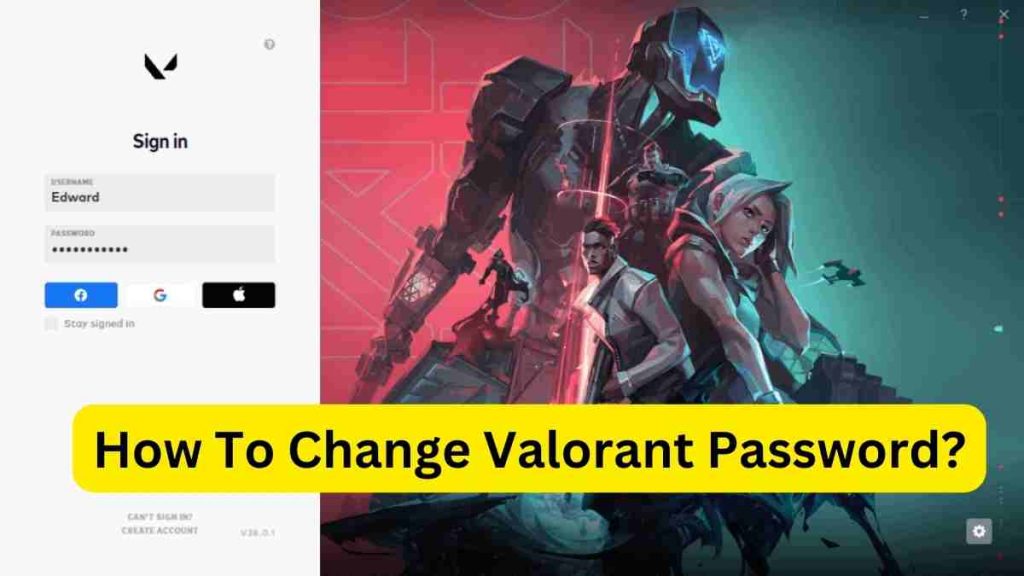 How To Change Valorant Password?