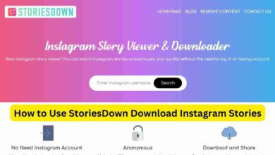 How to Use StoriesDown Download Instagram Stories 4 How to Use StoriesDown Download Instagram Stories